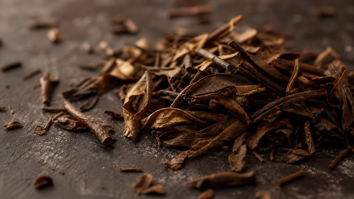 Roasted hojicha leaves and stems on dark stone